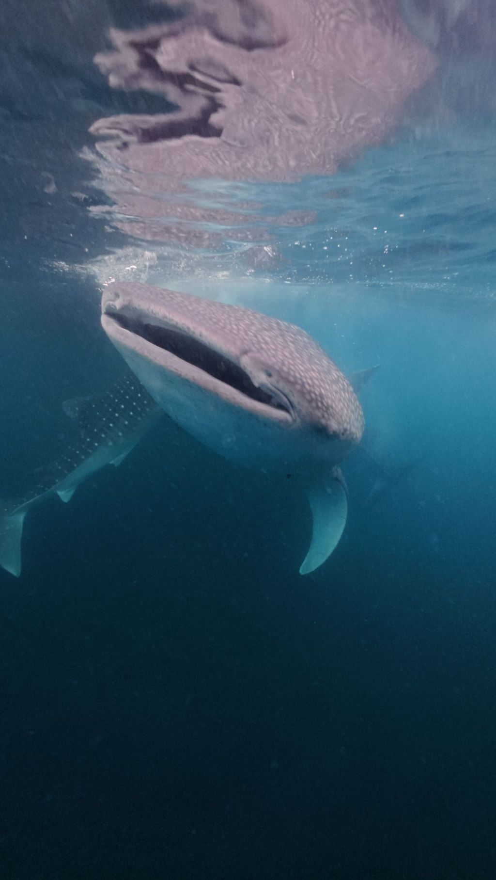 Une rencontre inoubliable